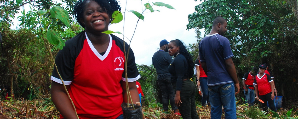 Reforestation and Invasive Species Control