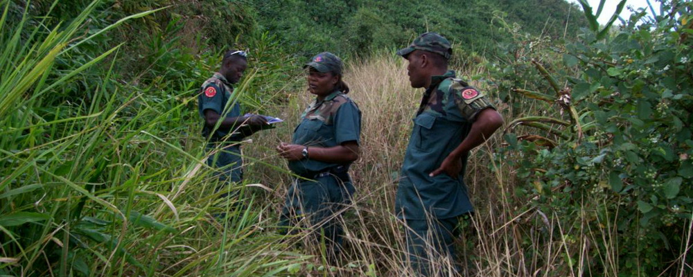 BJCMNP Rangers on patrol