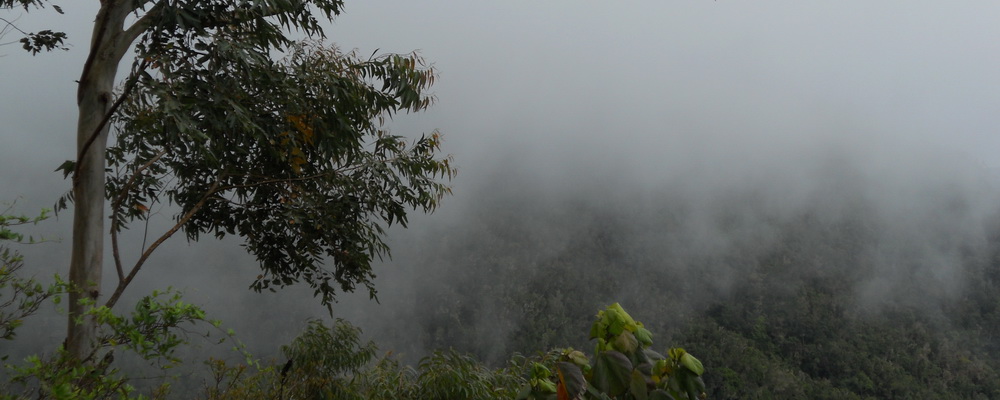 Mist rolling in at Holywell